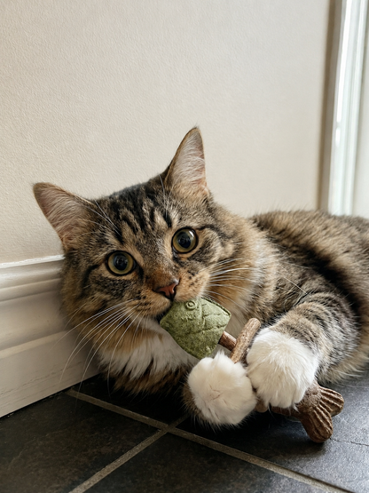 Catnip & Silvervine Chew-JX