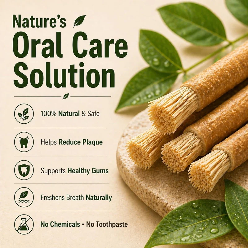 🌿 Natural Miswak Toothbrush Stick Oral Daily- Individually Wrapped, Traditional Toothbrush for Fresh Breath & Healthy Gums-JX