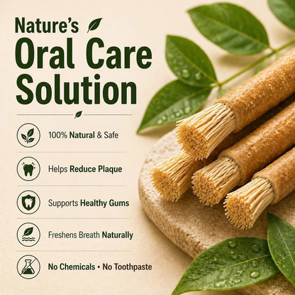 🌿 Natural Miswak Toothbrush Stick Oral Daily- Individually Wrapped, Traditional Toothbrush for Fresh Breath & Healthy Gums-JX