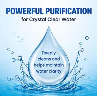 Pool Water Purifier Liquid | Clears Cloudy Green Pools, Improves All Filter Systems & Cuts Pool Maintenance Time-ANN