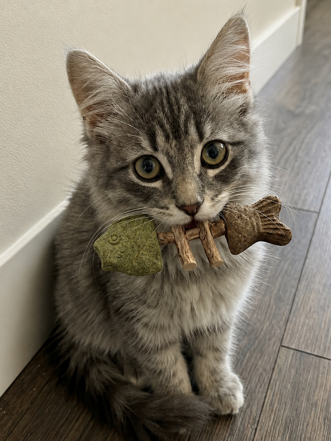 Catnip & Silvervine Chew-JX