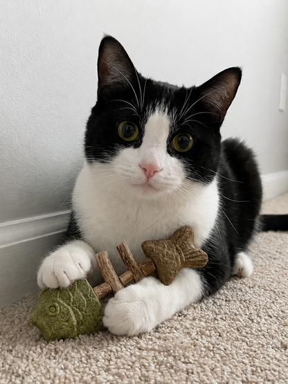 Catnip & Silvervine Chew-JX