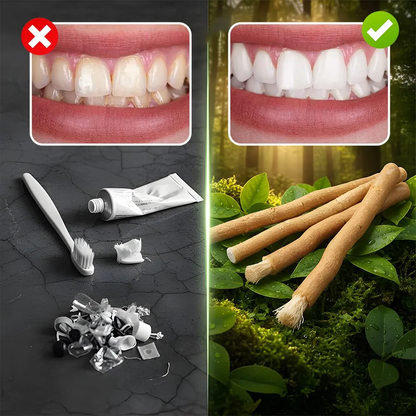 🌿 Natural Miswak Toothbrush Stick Oral Daily- Individually Wrapped, Traditional Toothbrush for Fresh Breath & Healthy Gums-JX