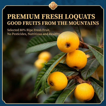 🌾 Natural Blood Care | Sugar-free Zero-Added Bamboo Salt Licorice Dried Loquat-JX