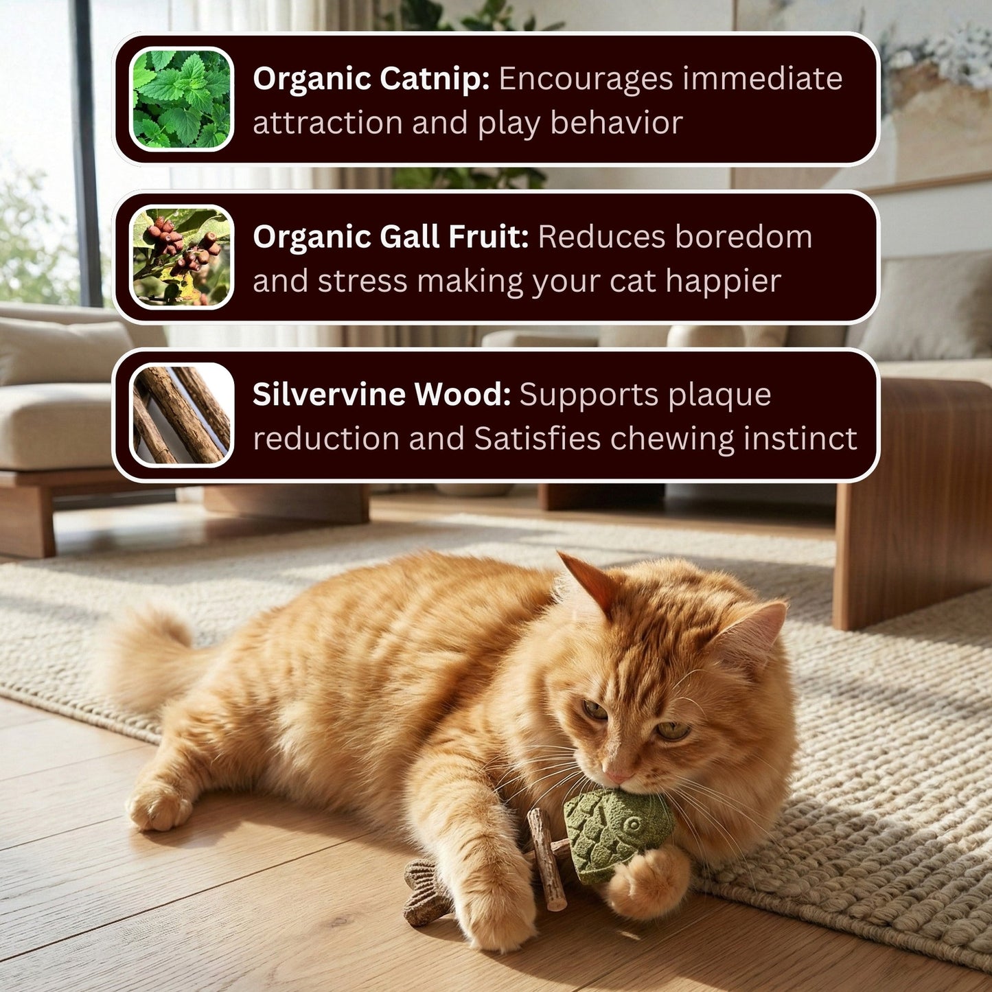Catnip & Silvervine Chew-JX