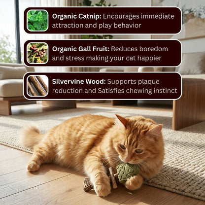 Catnip & Silvervine Chew-JX