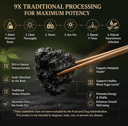 9X Prepared Rehmannia Root | Natural Blood Sugar & Metabolic Support Tonic-JX