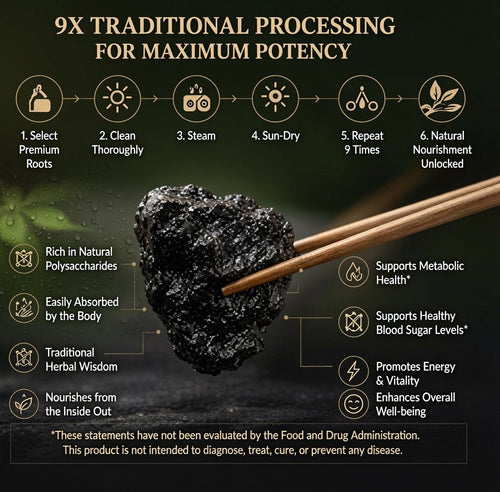 9X Prepared Rehmannia Root | Natural Blood Sugar & Metabolic Support Tonic-JX