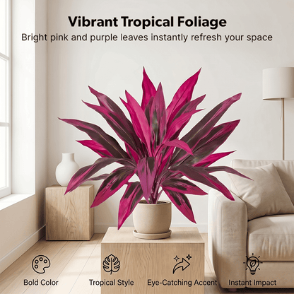 🎁 Last Day 60% OFF - Artificial Boston Fern & Dragon's Blood Tree Plants-YH