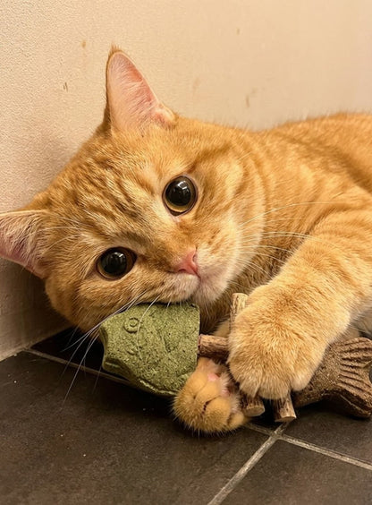 Catnip & Silvervine Chew-JX