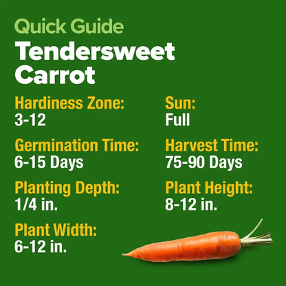 🥕Tendersweet Carrot Seeds – Naturally Sweet, Crisp & Easy-to-Grow Vegetable Seed Pack-JX