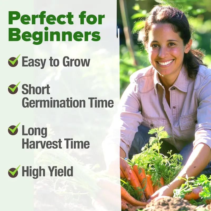 🥕Tendersweet Carrot Seeds – Naturally Sweet, Crisp & Easy-to-Grow Vegetable Seed Pack-JX