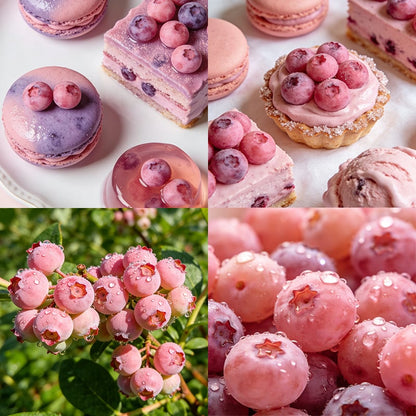🔥50K+ SOLD!💟Premium Pink Blueberry Seeds -😋A Uniquely Delightful Taste-YH