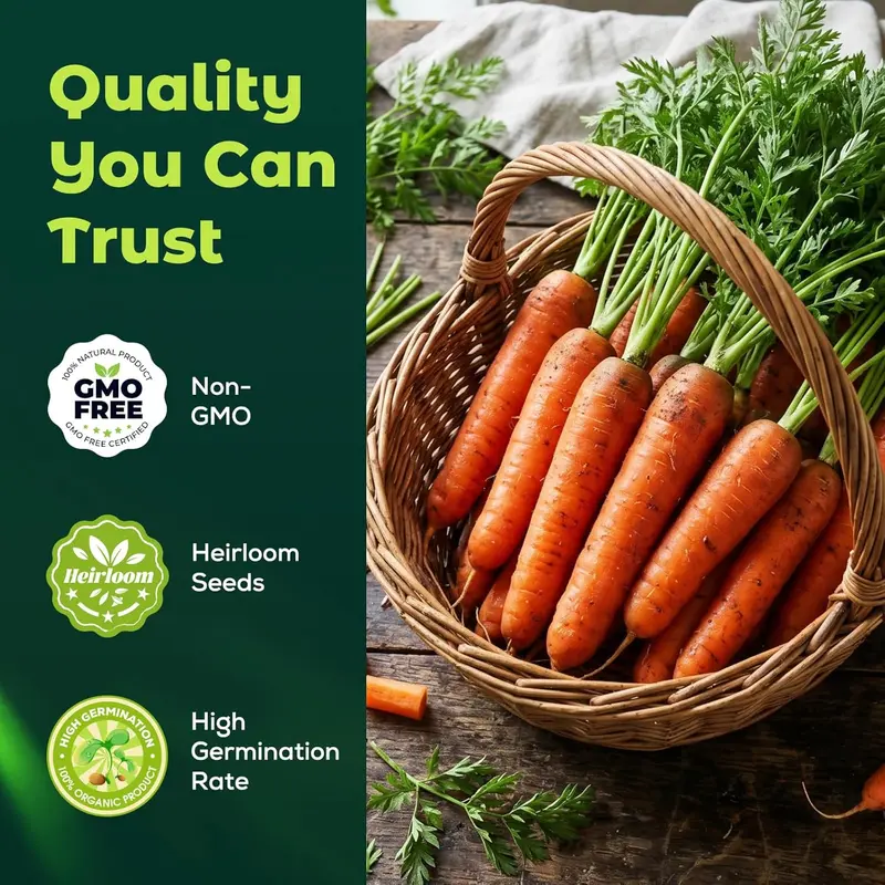 🥕Tendersweet Carrot Seeds – Naturally Sweet, Crisp & Easy-to-Grow Vegetable Seed Pack-JX