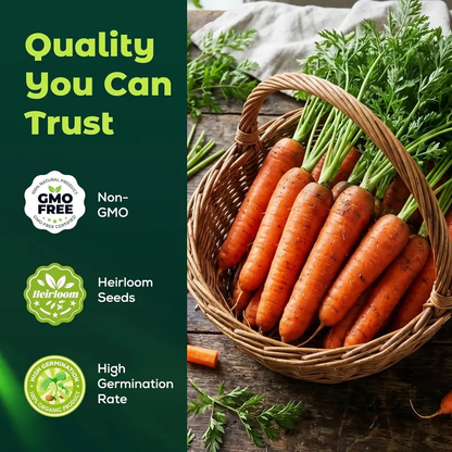 🥕Tendersweet Carrot Seeds – Naturally Sweet, Crisp & Easy-to-Grow Vegetable Seed Pack-JX