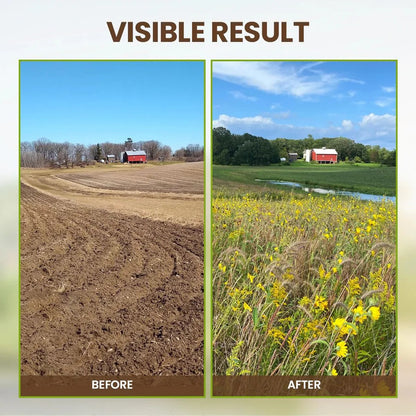 🏆75K+ SOLD! 🌳Seasonal Promotion🔥-Soil Pro Activator-ANN